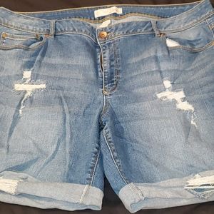 Women's shorts